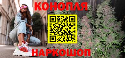 шишки Заволжье