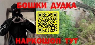 шишки Заволжье