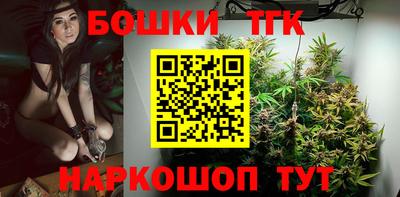 шишки Заволжье