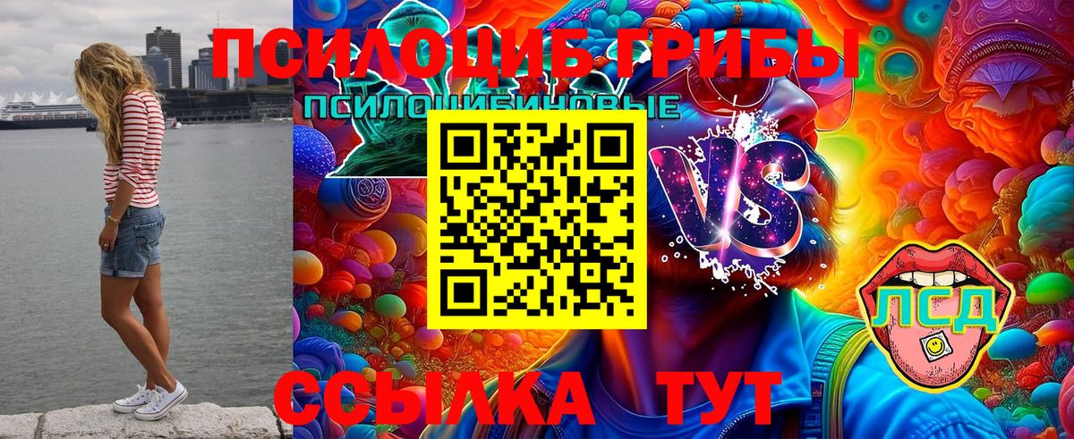 где можно купить   Вход с VPN  Алапаевск  Галлюциногенные грибы Cubensis  Псилоцибиновые грибы Magic Shrooms 
