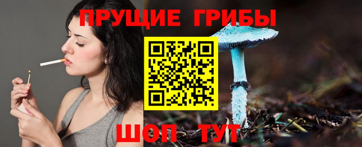Псилоцибиновые грибы Cubensis Алапаевск
